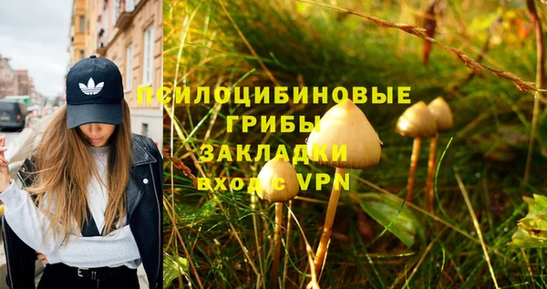 СК Пестово