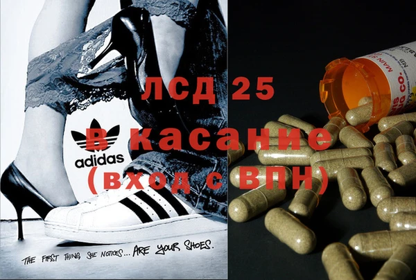 гашик Пересвет