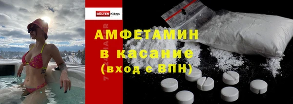 гашик Пересвет