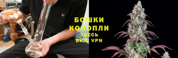 гашик Пересвет
