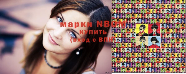 гашик Пересвет