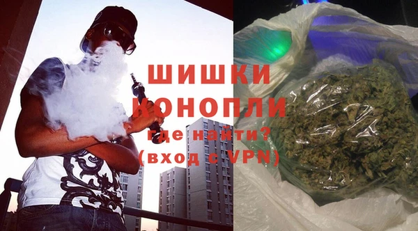 гашик Пересвет