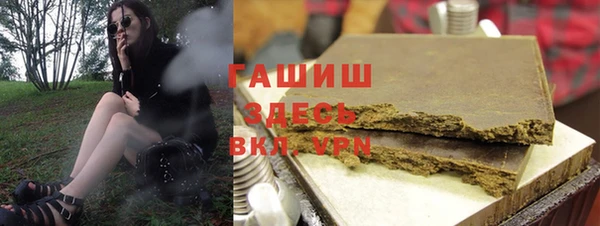 гашик Пересвет