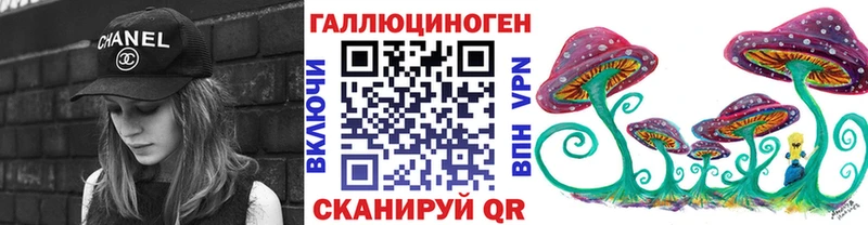 mega вход  Шенкурск  Псилоцибиновые грибы прущие грибы 